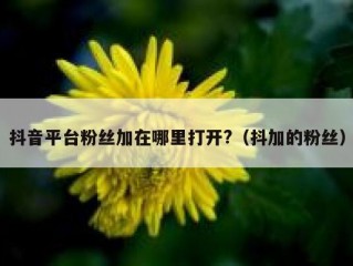 抖音平台粉丝加在哪里打开?（抖加的粉丝）
