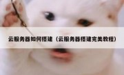 云服务器如何搭建（云服务器搭建完美教程）