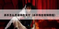 派币怎么开通钱包支付（派币钱包视频教程）
