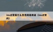 ins点赞是什么意思网络用语（ins点赞的）