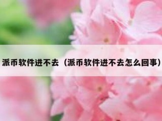 派币软件进不去（派币软件进不去怎么回事）