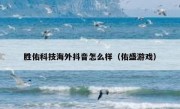 胜佑科技海外抖音怎么样（佑盛游戏）