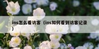 ins怎么看访客（ins如何看到访客记录）