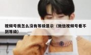 视频号我怎么没有等级显示（微信视频号看不到等级）