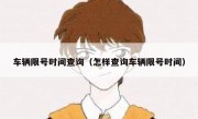 车辆限号时间查询（怎样查询车辆限号时间）