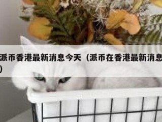 派币香港最新消息今天（派币在香港最新消息）