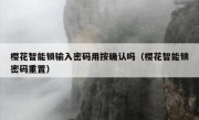 樱花智能锁输入密码用按确认吗（樱花智能锁密码重置）