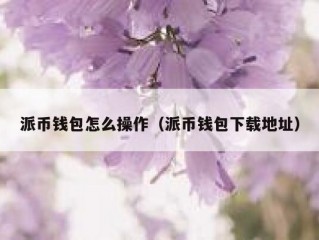派币钱包怎么操作（派币钱包下载地址）