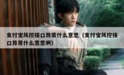 支付宝风控接口异常什么意思（支付宝风控接口异常什么意思啊）