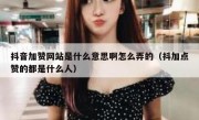 抖音加赞网站是什么意思啊怎么弄的(抖加点赞的都是什么人)