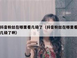 抖音粉丝在哪里看几级了（抖音粉丝在哪里看几级了啊）