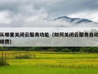 从哪里关闭云服务功能（如何关闭云服务自动续费）