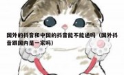 国外的抖音和中国的抖音能不能通吗（国外抖音跟国内是一家吗）