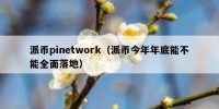 派币pinetwork（派币今年年底能不能全面落地）