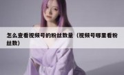 怎么查看视频号的粉丝数量（视频号哪里看粉丝数）