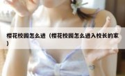 樱花校园怎么进（樱花校园怎么进入校长的家）