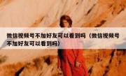 微信视频号不加好友可以看到吗（微信视频号不加好友可以看到吗）