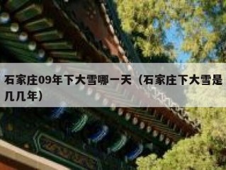 石家庄09年下大雪哪一天（石家庄下大雪是几几年）
