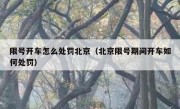 限号开车怎么处罚北京（北京限号期间开车如何处罚）