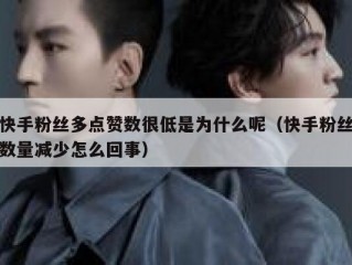 快手粉丝多点赞数很低是为什么呢（快手粉丝数量减少怎么回事）