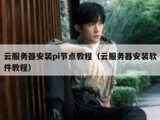 云服务器安装pi节点教程（云服务器安装软件教程）