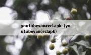 youtubevanced.apk（youtubevancedapk）