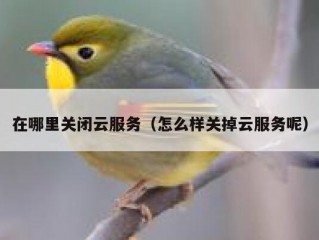 在哪里关闭云服务（怎么样关掉云服务呢）