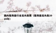 国内服务器行业龙头股票（服务器龙头股2020年）