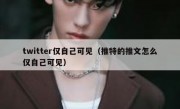 twitter仅自己可见（推特的推文怎么仅自己可见）