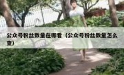 公众号粉丝数量在哪看（公众号粉丝数量怎么查）