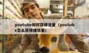 youtube如何获得流量（youtube怎么获得播放量）