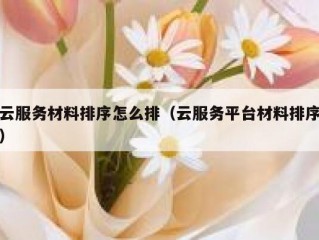 云服务材料排序怎么排（云服务平台材料排序）