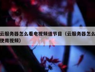 云服务器怎么看电视频道节目（云服务器怎么使用视频）