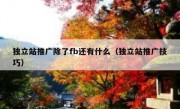 独立站推广除了fb还有什么（独立站推广技巧）