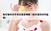支付宝代付不可以用花呗吗（支付宝代付不能用）