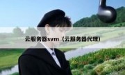 云服务器svm（云服务器代理）