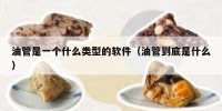 油管是一个什么类型的软件（油管到底是什么）