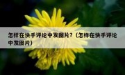 怎样在快手评论中发图片?（怎样在快手评论中发图片）