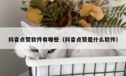 抖音点赞软件有哪些（抖音点赞是什么软件）