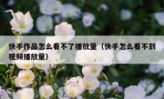 快手作品怎么看不了播放量（快手怎么看不到视频播放量）