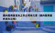 国内服务器龙头上市公司有几家（国内服务器的龙头公司）