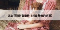 怎么花钱抖音增粉（抖音涨粉的步骤）