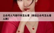 公众号人气排行榜怎么看（微信公众号怎么看人数）