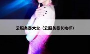 云服务器大全（云服务器长啥样）