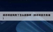 派币项目失败了怎么回事啊（派币项目方有谁）