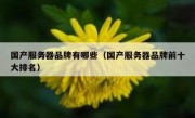 国产服务器品牌有哪些（国产服务器品牌前十大排名）
