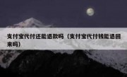支付宝代付还能退款吗（支付宝代付钱能退回来吗）