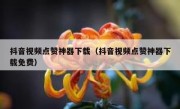抖音视频点赞神器下载（抖音视频点赞神器下载免费）