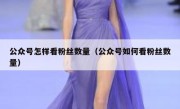 公众号怎样看粉丝数量（公众号如何看粉丝数量）