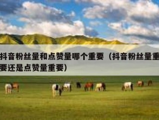 抖音粉丝量和点赞量哪个重要（抖音粉丝量重要还是点赞量重要）